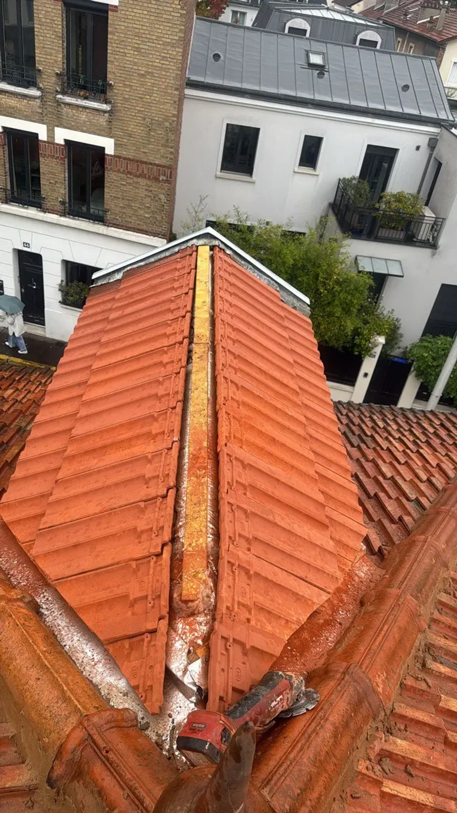 Chien-assis habillé en zinc naturel, avant et après travaux, en Île-de-France (avant travaux)