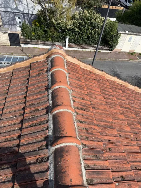Toiture en tuiles envahie par la mousse avant démoussage