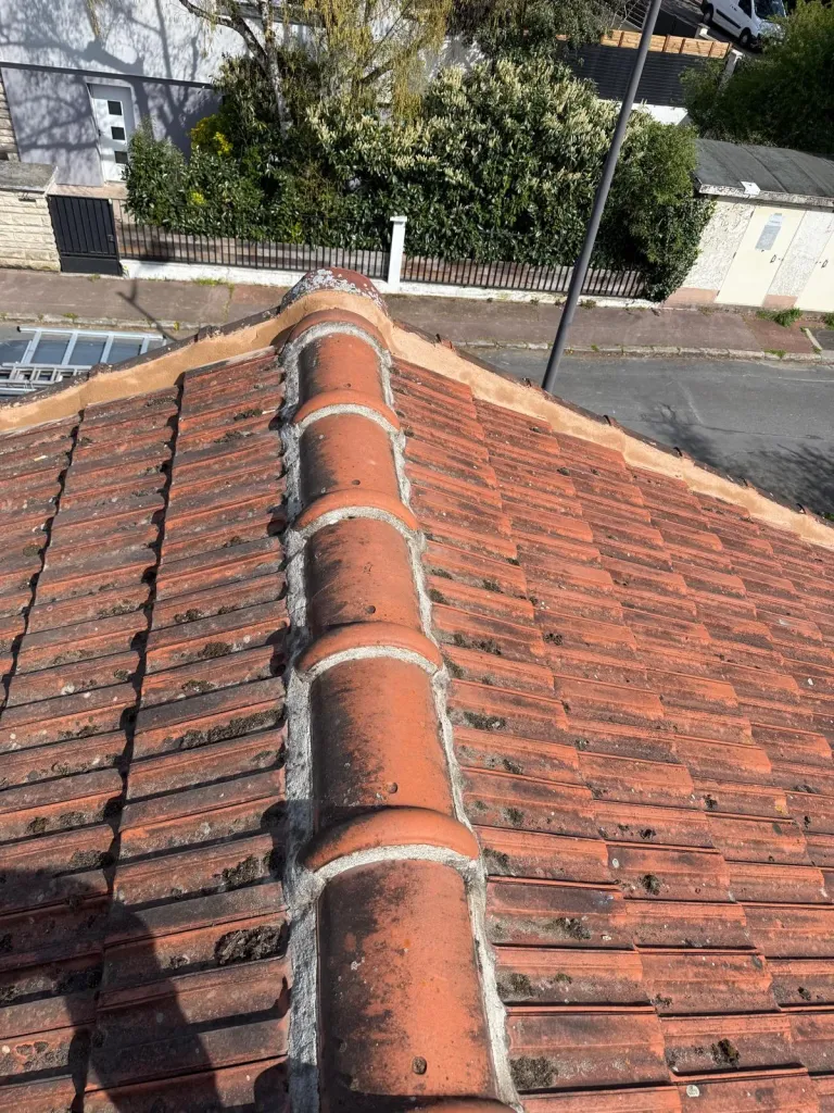 Toiture en tuiles envahie par la mousse avant démoussage
