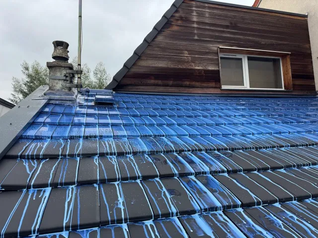 Démoussage d’une toiture à Nanterre (92)