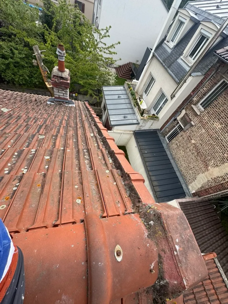 Pans de rive habillés en zinc naturel sur une toiture en Île-de-France (avant travaux)